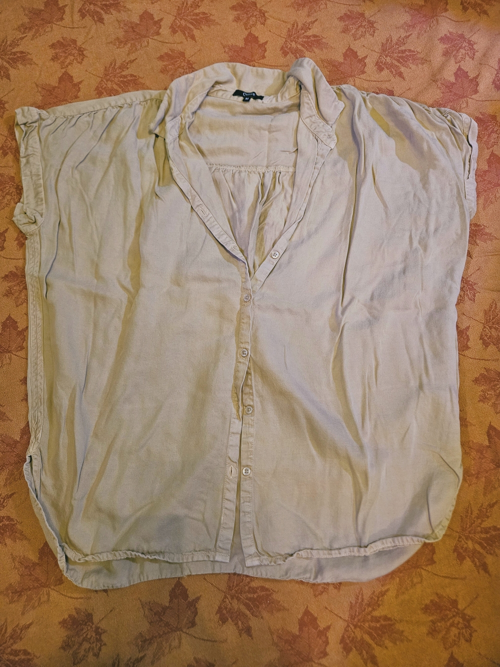 Quince Beige Button-Front Blouse